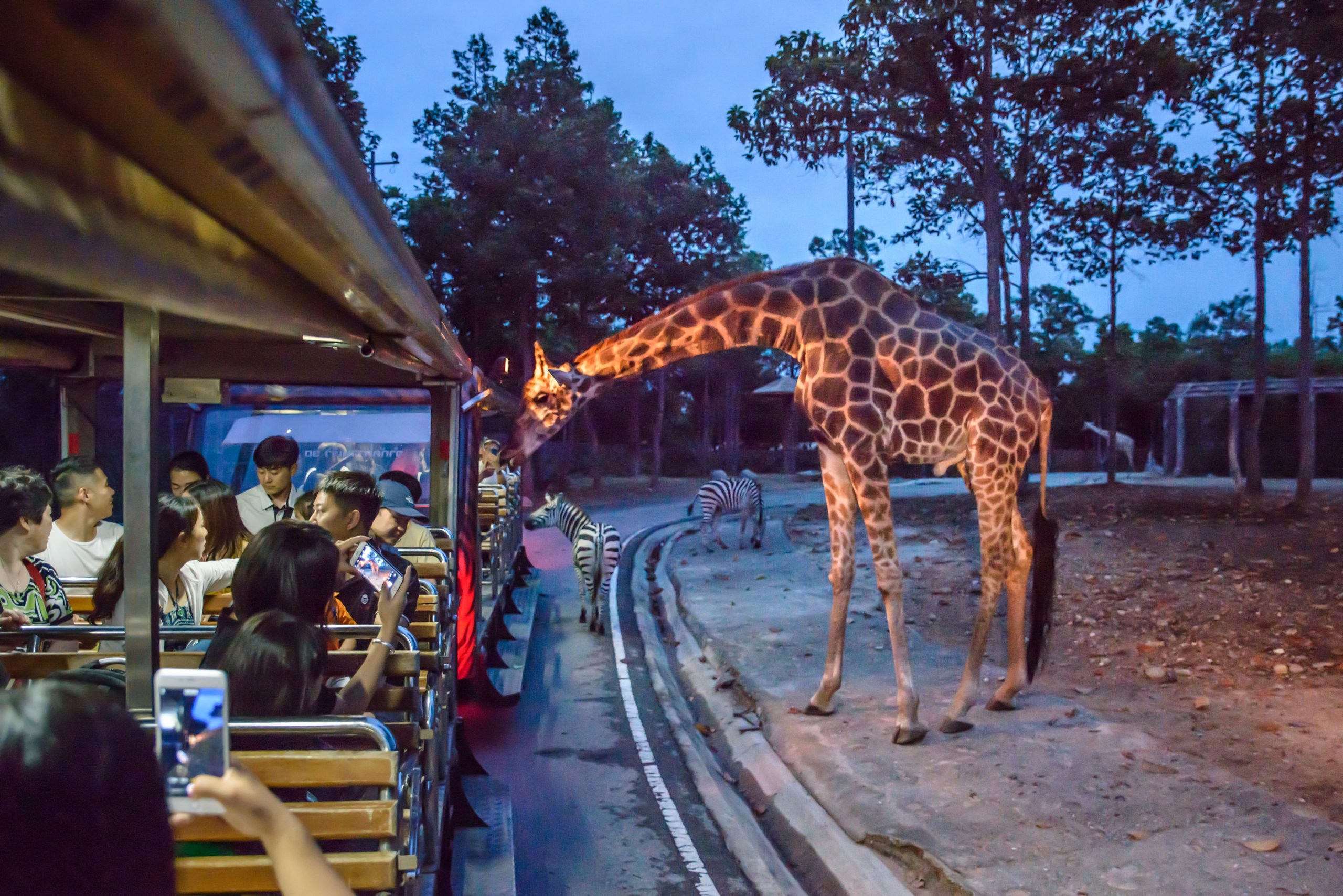 night safari bangkok